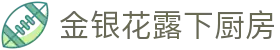 金银花露下厨房 - 金银花露小说